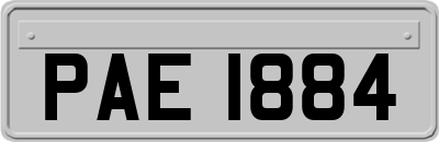 PAE1884