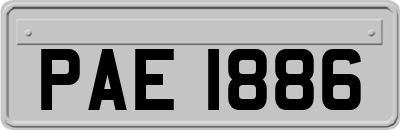 PAE1886