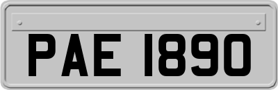 PAE1890