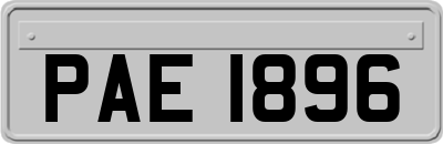 PAE1896
