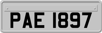 PAE1897
