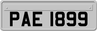PAE1899