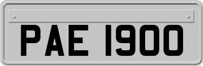 PAE1900