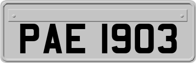 PAE1903