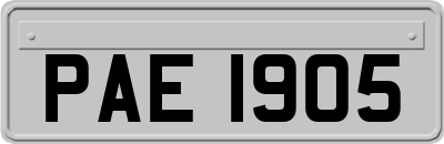 PAE1905
