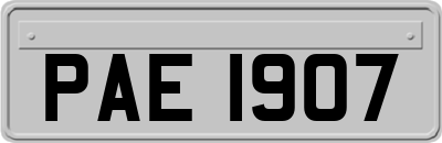 PAE1907
