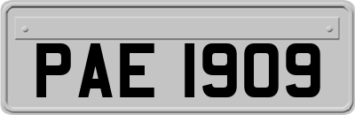 PAE1909
