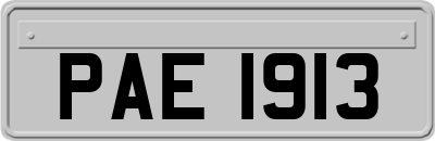 PAE1913