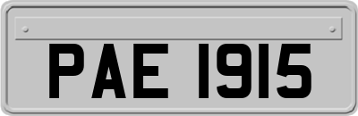PAE1915