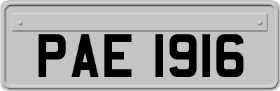 PAE1916