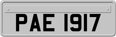 PAE1917