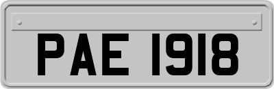 PAE1918