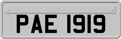 PAE1919