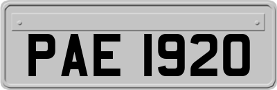 PAE1920