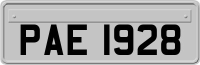 PAE1928