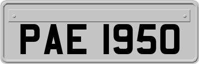 PAE1950