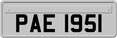 PAE1951