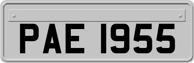 PAE1955