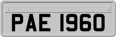 PAE1960