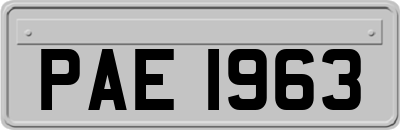 PAE1963