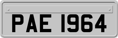 PAE1964