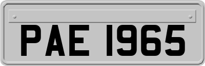 PAE1965