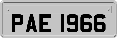 PAE1966