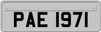 PAE1971