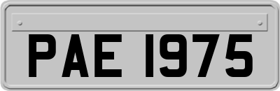 PAE1975