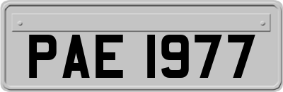 PAE1977