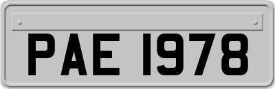 PAE1978