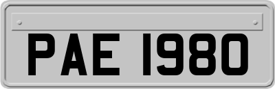PAE1980