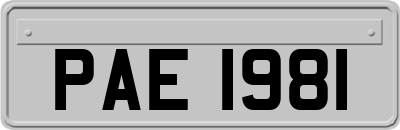 PAE1981