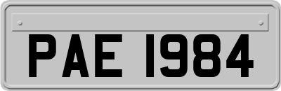 PAE1984