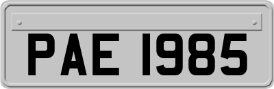 PAE1985