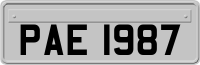 PAE1987