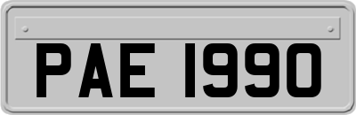 PAE1990