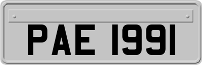 PAE1991