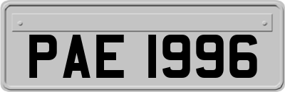 PAE1996