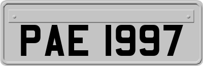 PAE1997