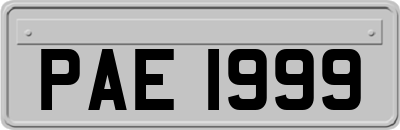 PAE1999