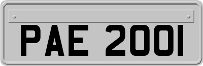 PAE2001