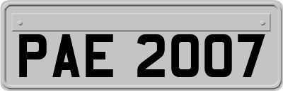 PAE2007
