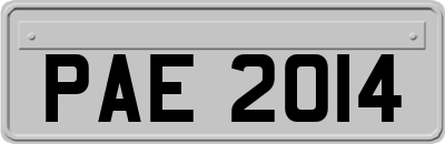 PAE2014