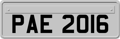 PAE2016