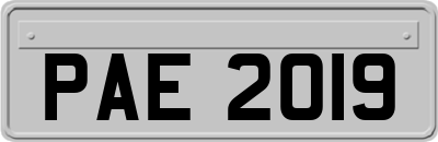 PAE2019