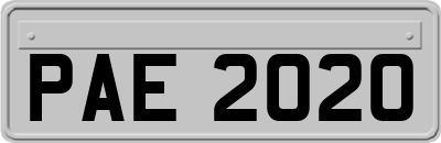 PAE2020