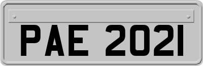 PAE2021