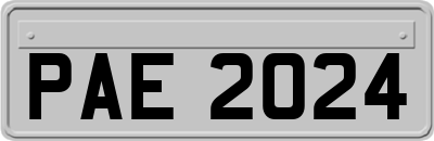 PAE2024