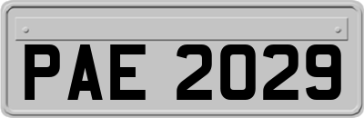 PAE2029